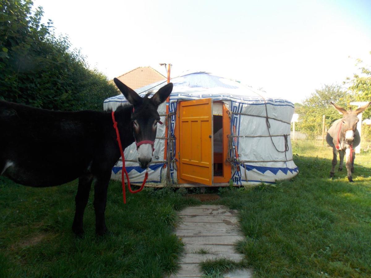 Yourte Mongole Huriel Zewnętrze zdjęcie